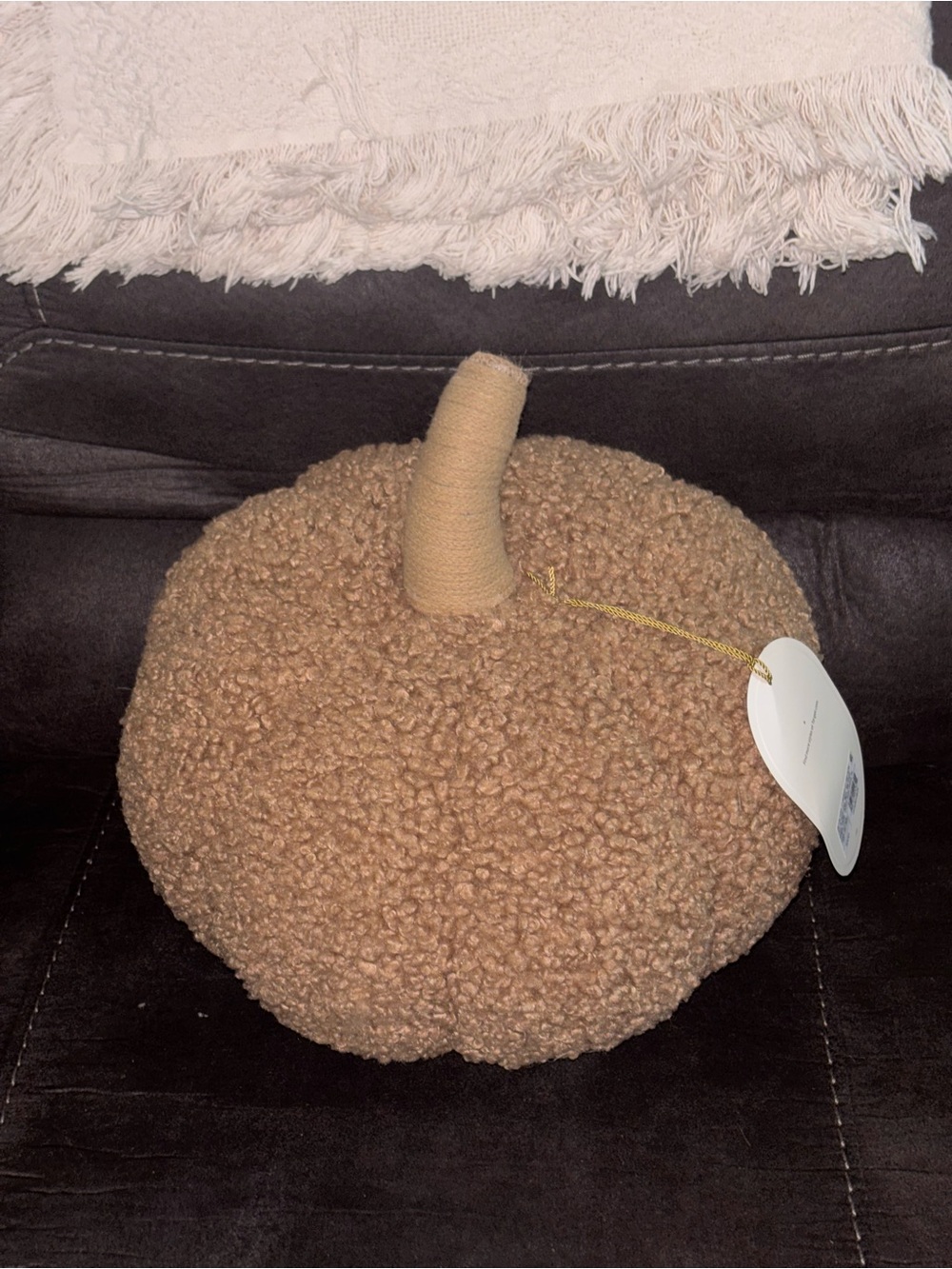Target Brown Textured Pumpkin Holiday Pillow
